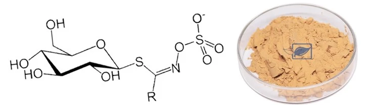 broccoli extract glucosinolate